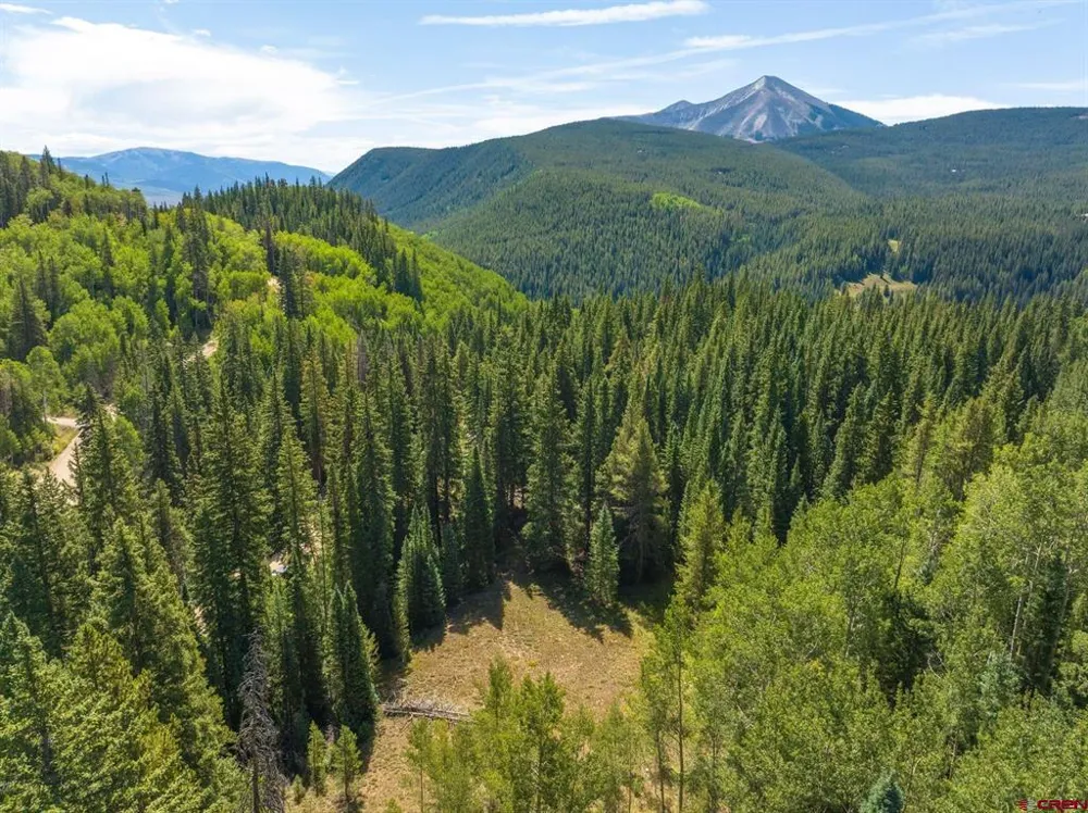 1217 Trappers Way Crested Butte, CO 81224