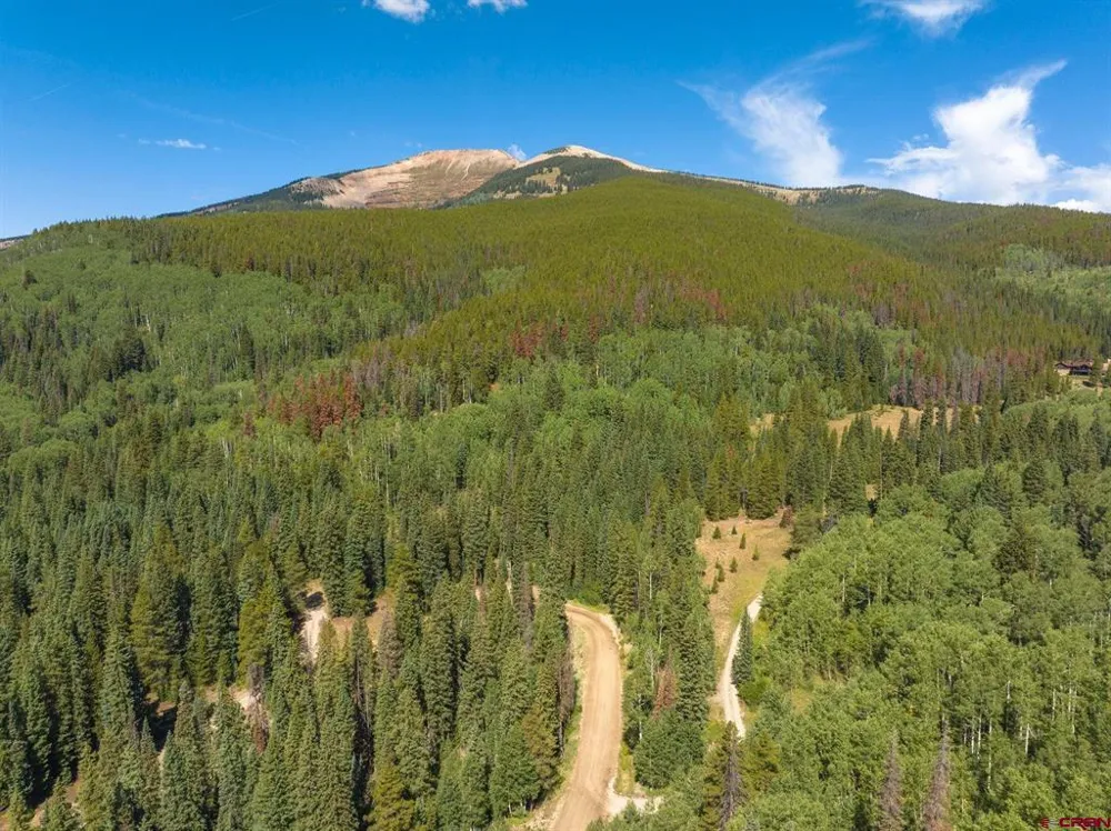 1217 Trappers Way Crested Butte, CO 81224