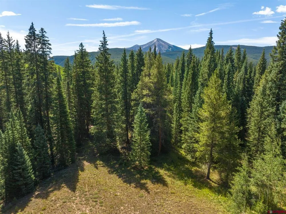1217 Trappers Way Crested Butte, CO 81224