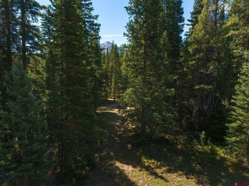 1217 Trappers Way Crested Butte, CO 81224