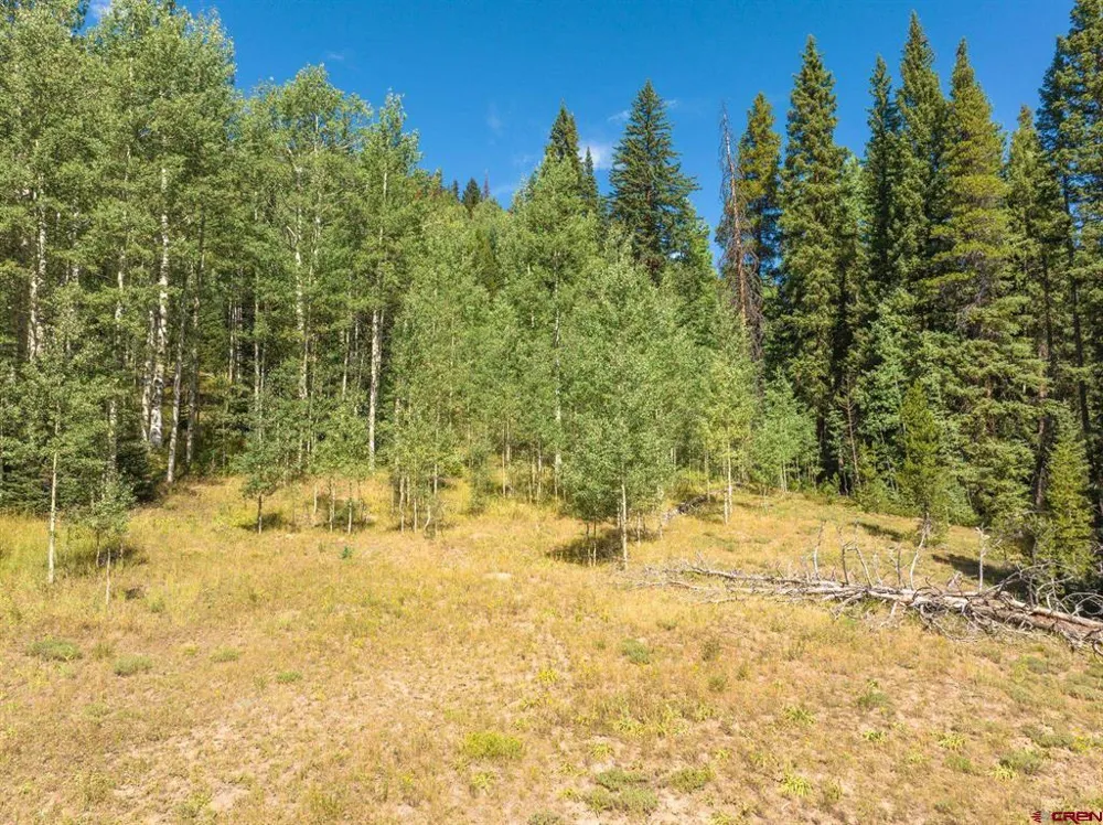 1217 Trappers Way Crested Butte, CO 81224