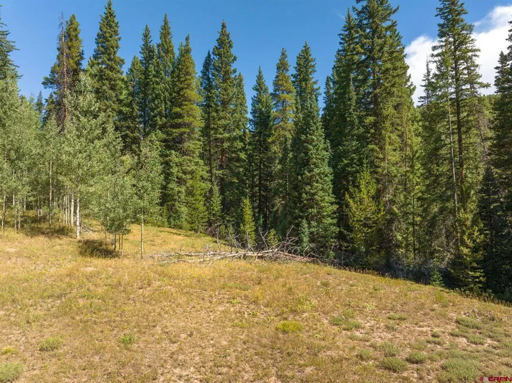 1217 Trappers Way Crested Butte, CO 81224