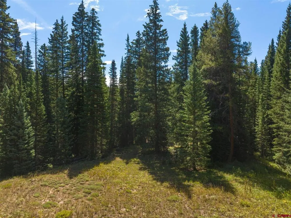 1217 Trappers Way Crested Butte, CO 81224