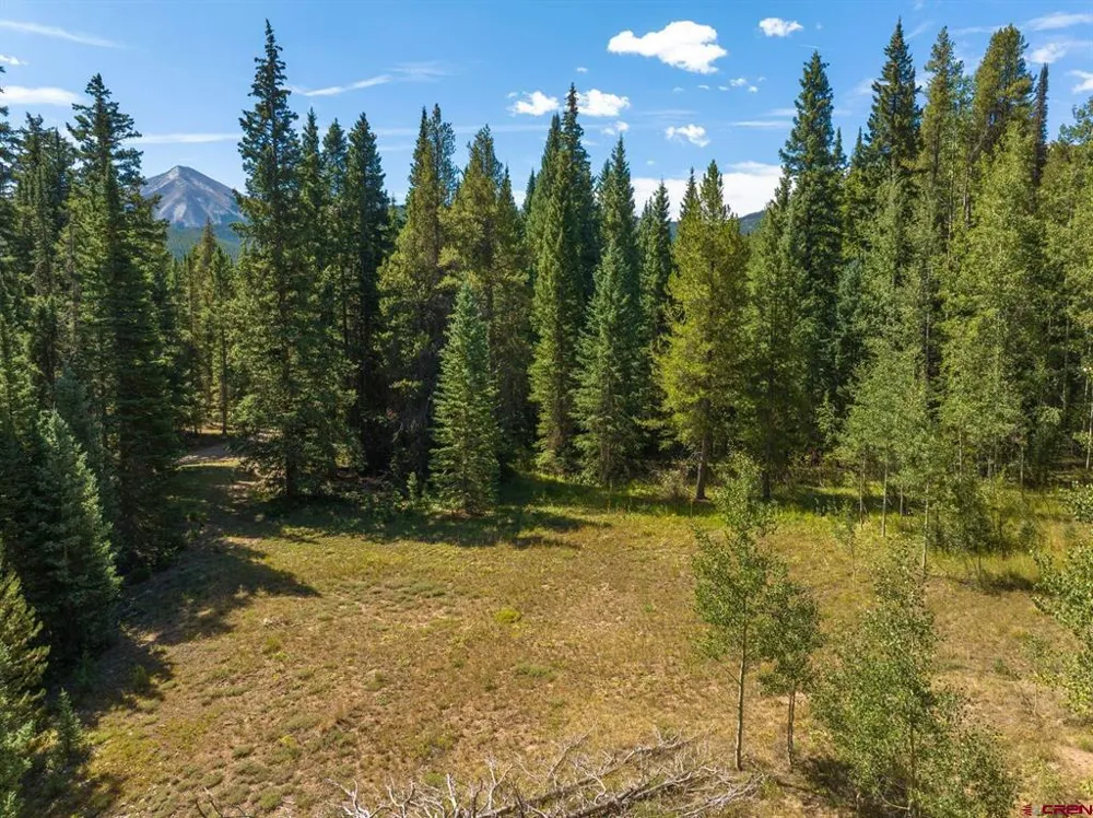 1217 Trappers Way Crested Butte, CO 81224