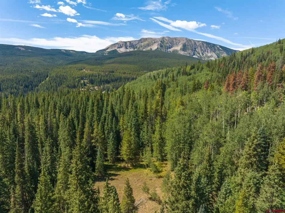 1217 Trappers Way Crested Butte, CO 81224