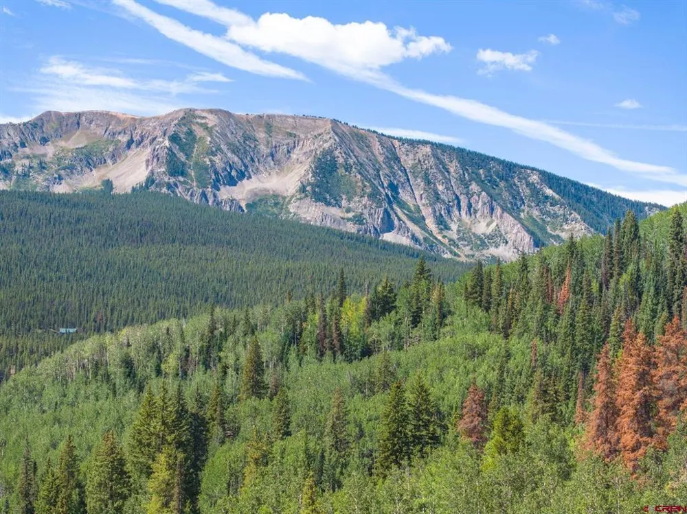 1217 Trappers Way Crested Butte, CO 81224