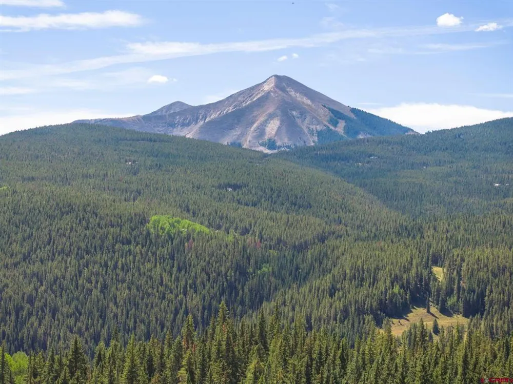 1217 Trappers Way Crested Butte, CO 81224