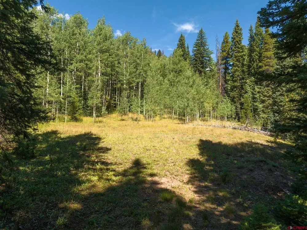 1217 Trappers Way Crested Butte, CO 81224