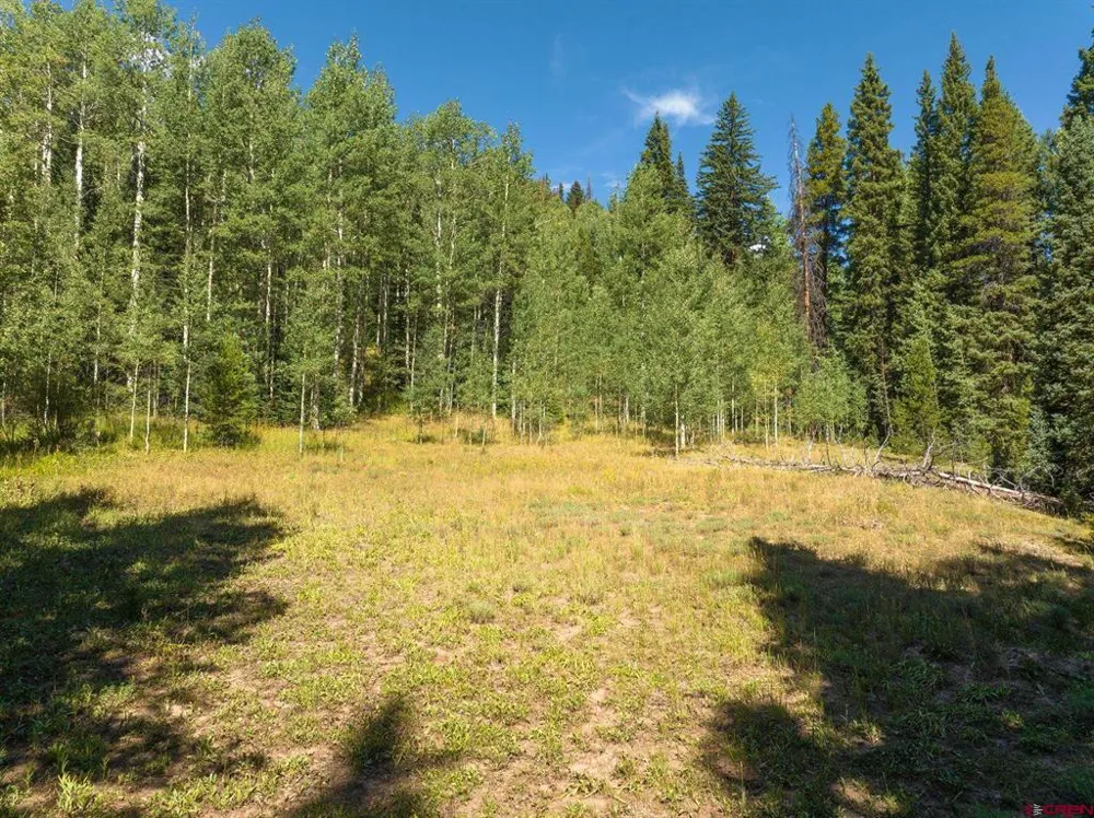 1217 Trappers Way Crested Butte, CO 81224