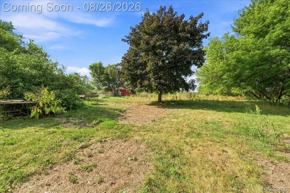 3756 Reamer Road Oregon Township, MI 48446