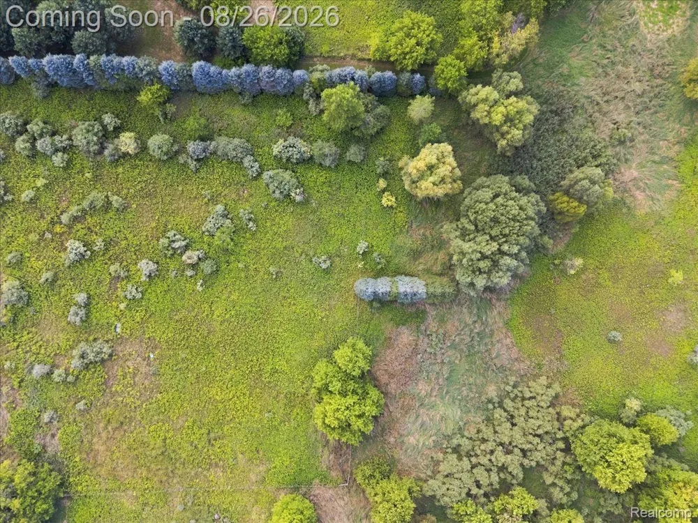 3756 Reamer Road Oregon Township, MI 48446
