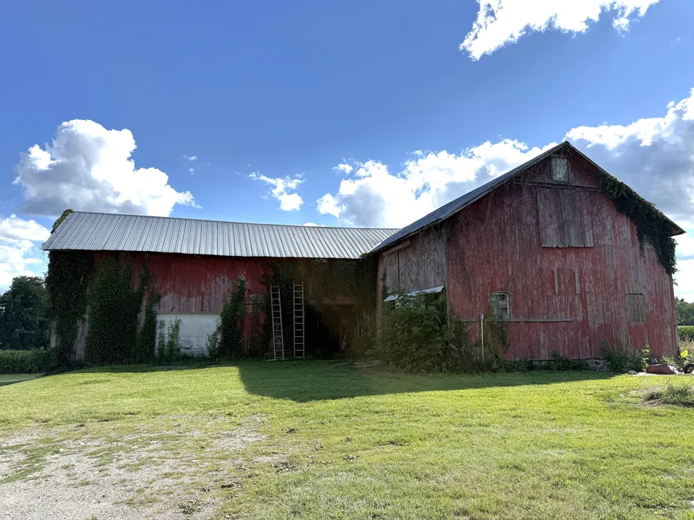 11720 S M 66 Highway Assyria Township, MI 49021