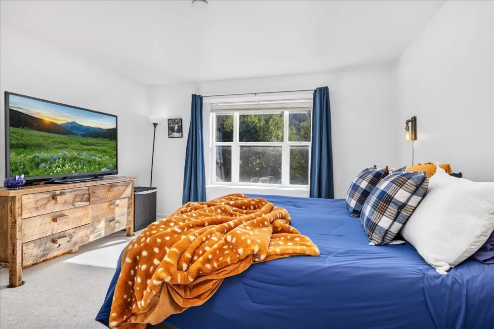 49 Audrey Circle Breckenridge, CO 80424