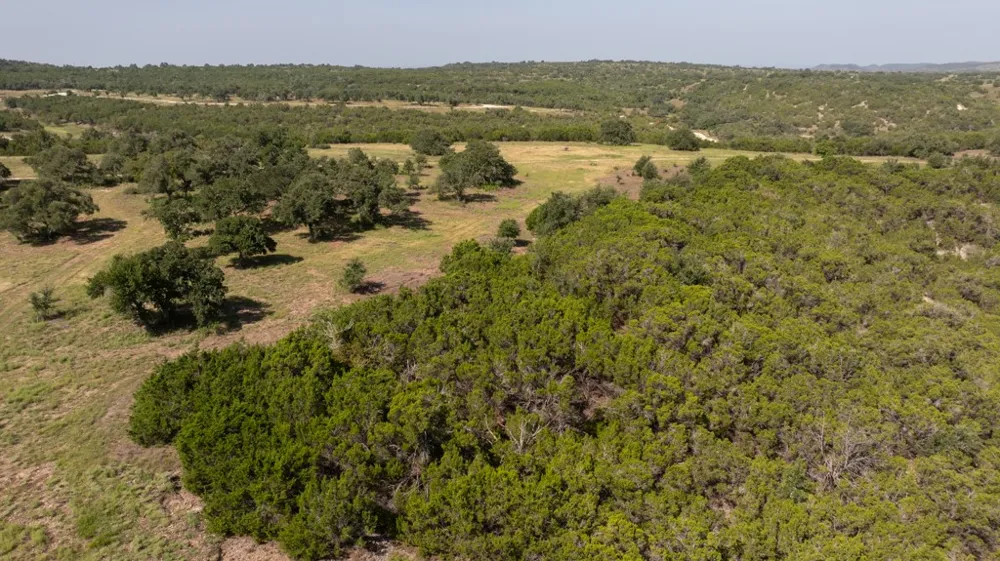 Address Not Shown Other, TX 78606