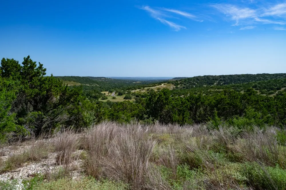Address Not Shown Other, TX 78606