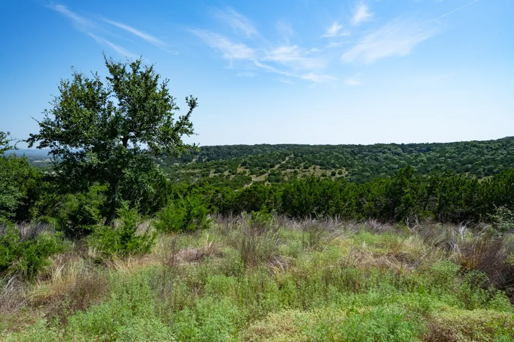 Address Not Shown Other, TX 78606
