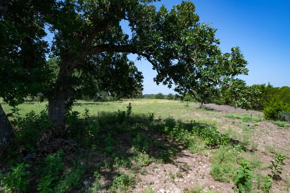 Address Not Shown Other, TX 78606