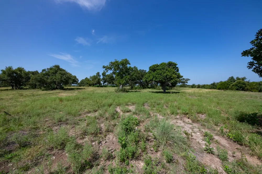 Address Not Shown Other, TX 78606