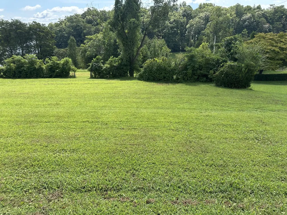 430 Lakeview Drive Spring City, TN 37381