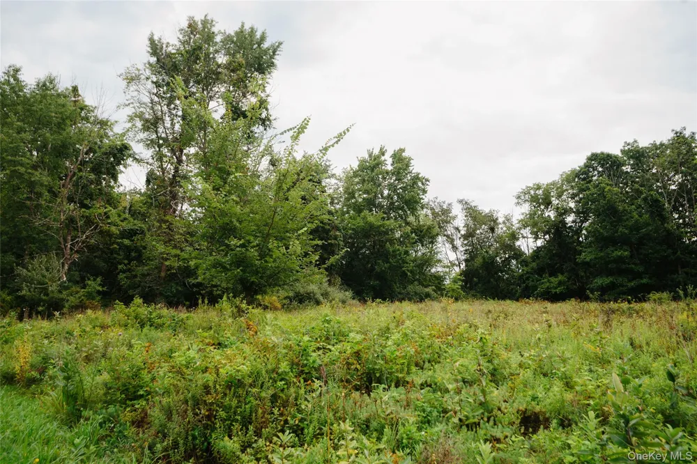 92 Restorative Lane Middletown, NY 10940
