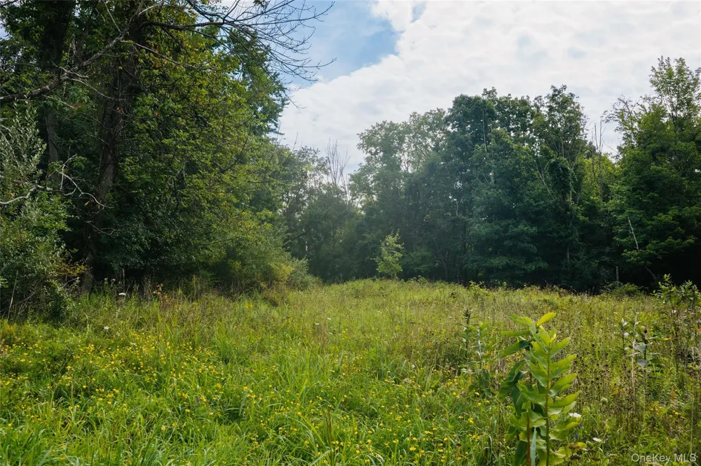92 Restorative Lane Middletown, NY 10940