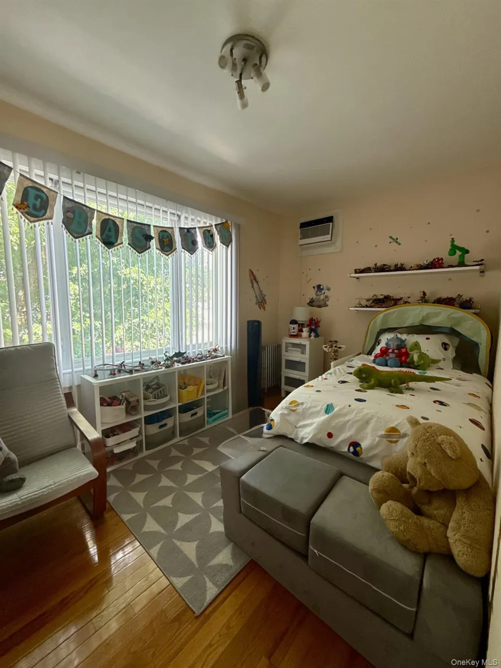 13306 96th Street Ozone Park, NY 11417