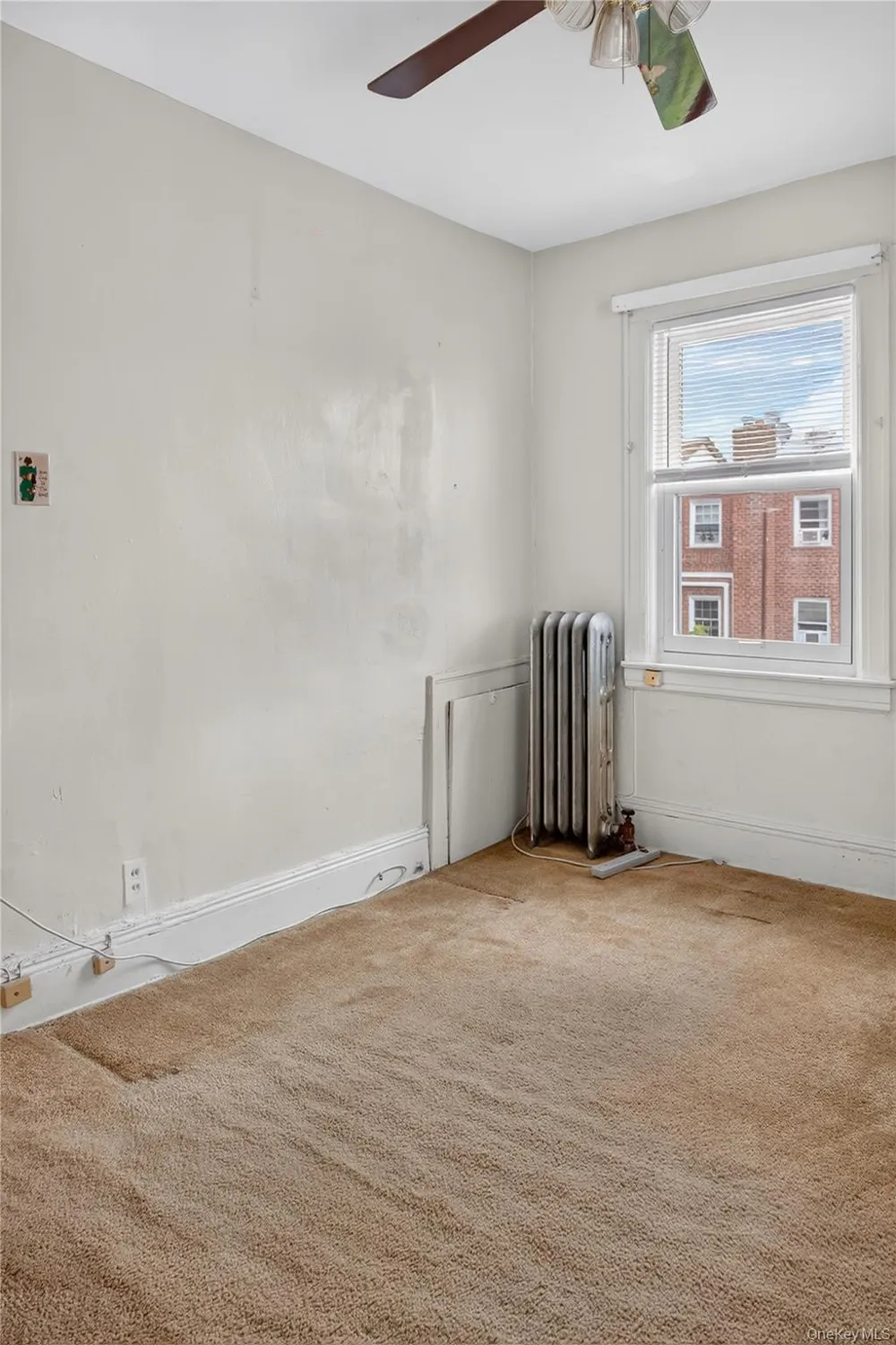 543 E 38th Street Brooklyn, NY 11203