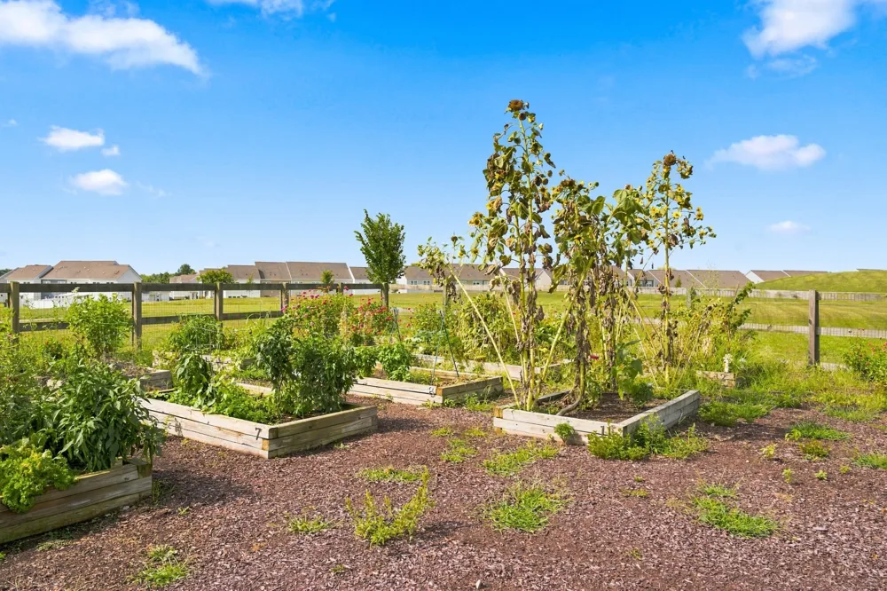 1197 June Wilde Rdg Spring Hill, TN 37174
