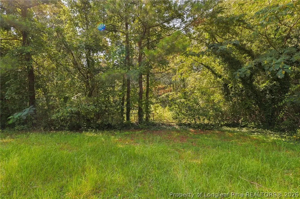 121 Buffalo Street Fayetteville, NC 28303