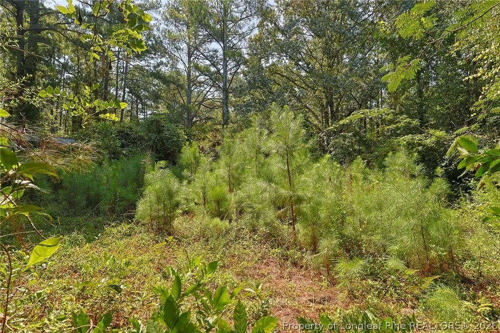 121 Buffalo Street Fayetteville, NC 28303