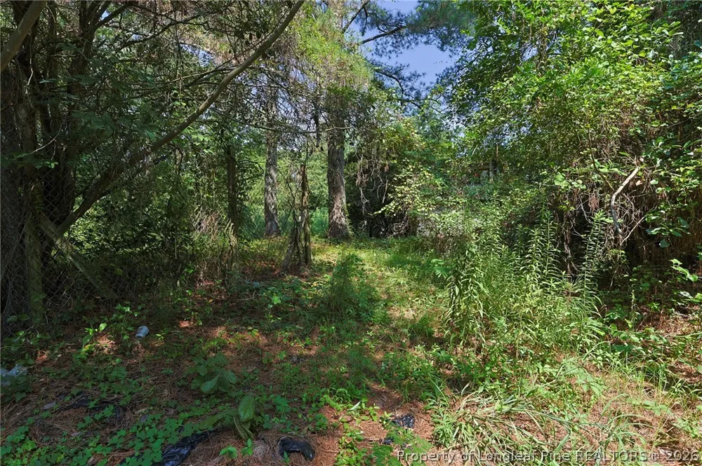 121 Buffalo Street Fayetteville, NC 28303