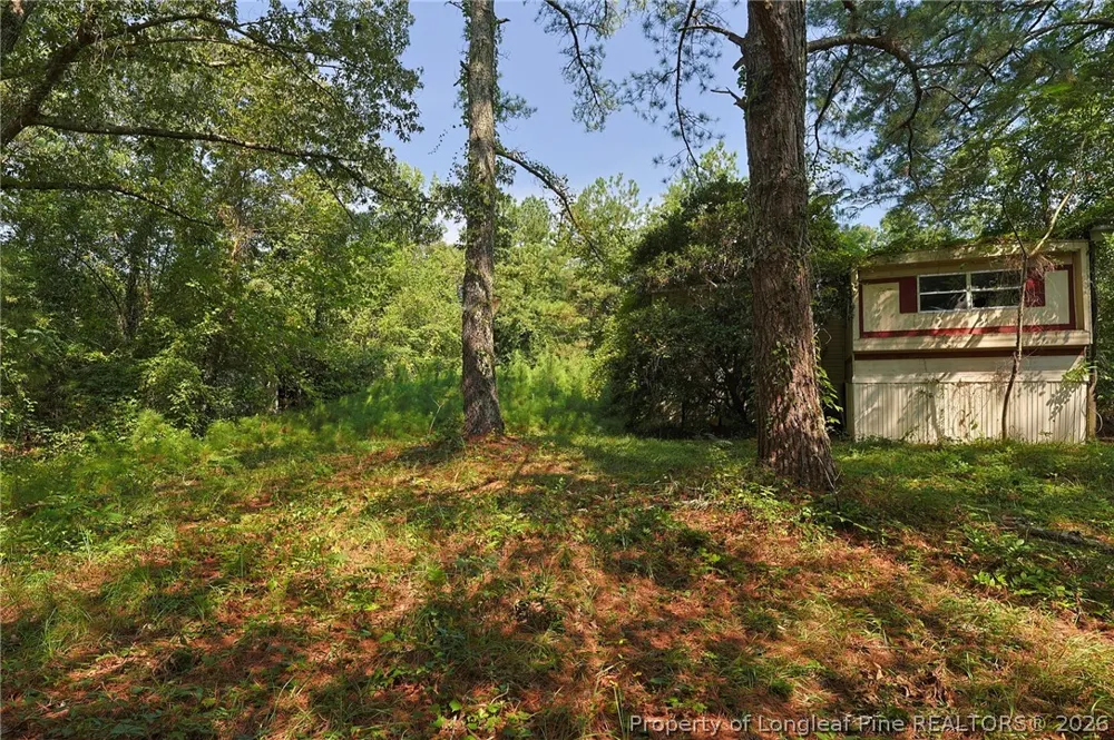 121 Buffalo Street Fayetteville, NC 28303