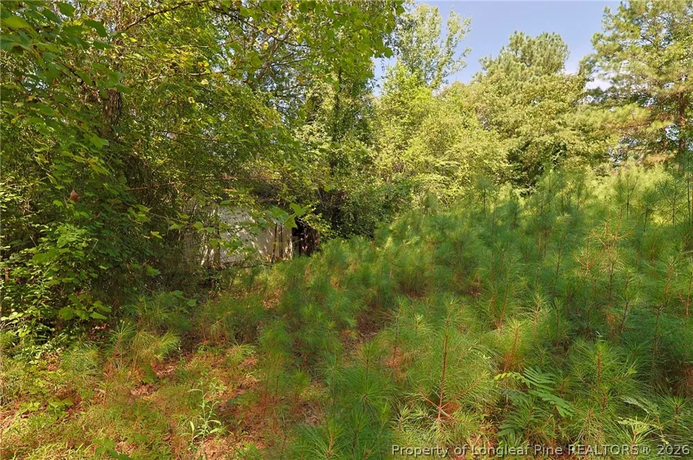 121 Buffalo Street Fayetteville, NC 28303