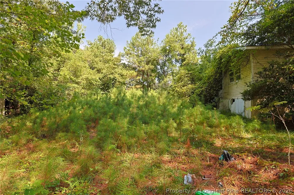 121 Buffalo Street Fayetteville, NC 28303