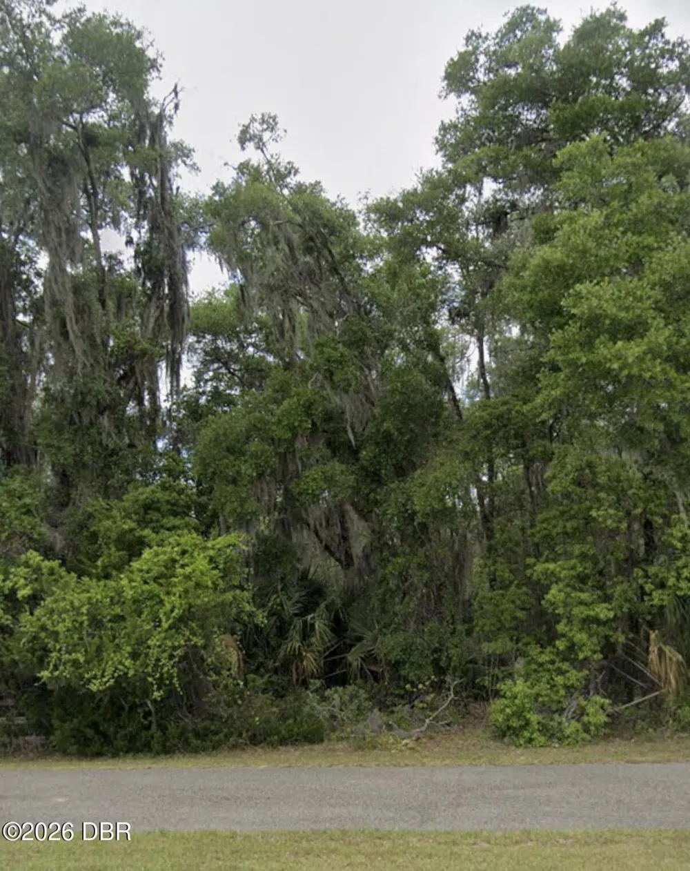 Seabiscuit Trail Deland, FL 32720