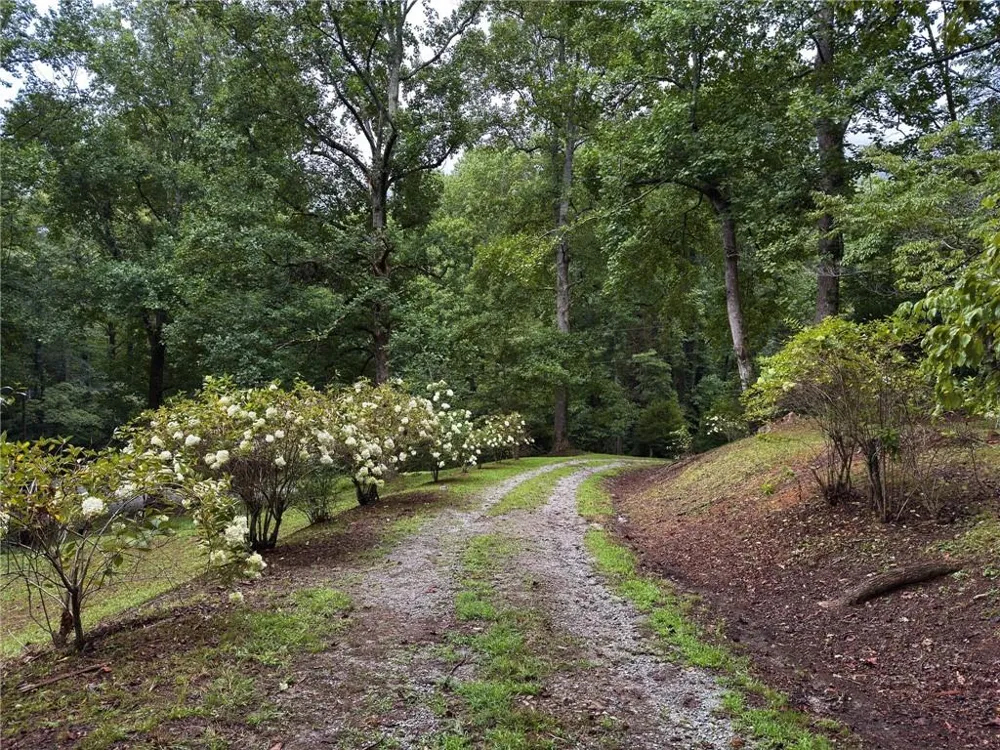 31 Bear Creek Lane Clayton, GA 30525