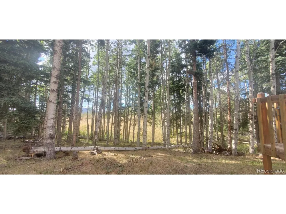 2649 Petito Drive Fort Garland, CO 81133