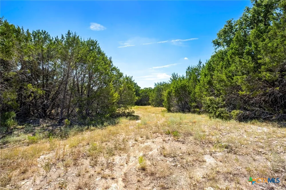 Cr 142 Gatesville, TX 76528