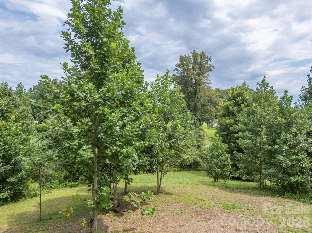 375 E King Street East Flat Rock, NC 28726