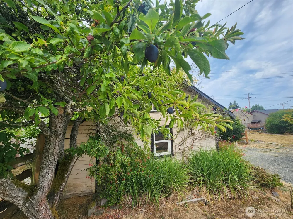215 W Motor Avenue Port Angeles, WA 98362