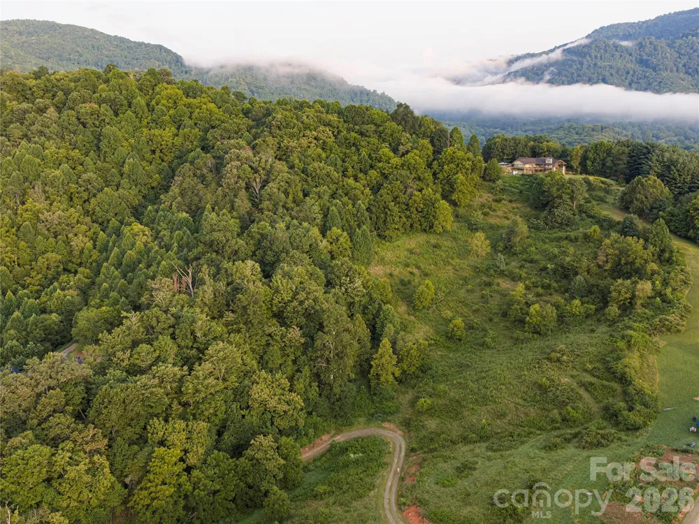 99999 Cleves Drive Candler, NC 28715