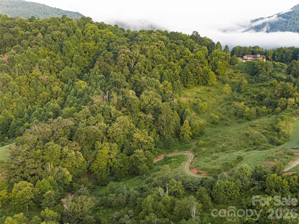 99999 Cleves Drive Candler, NC 28715