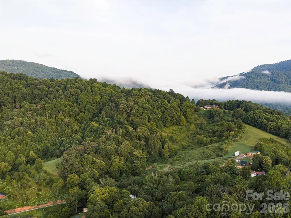 99999 Cleves Drive Candler, NC 28715