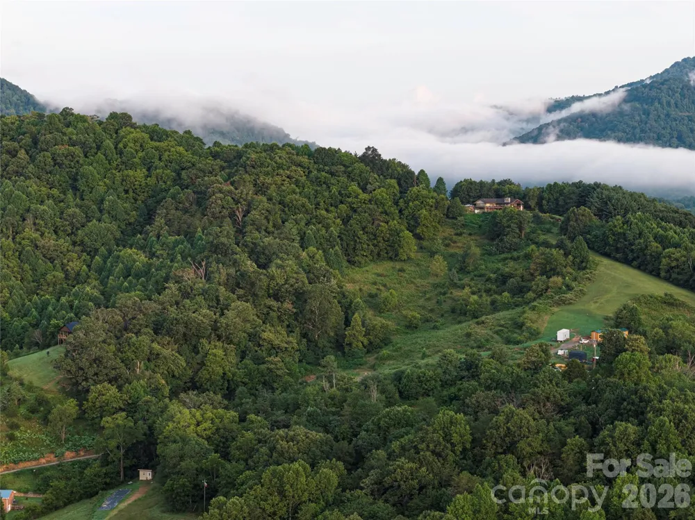 99999 Cleves Drive Candler, NC 28715