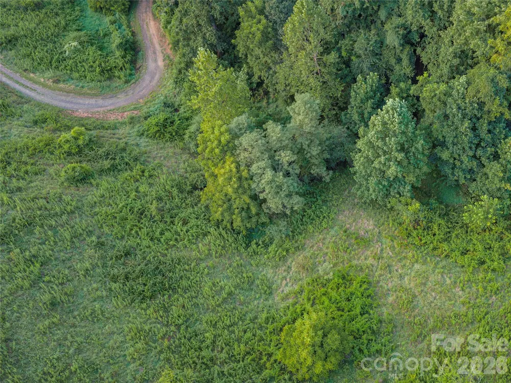 99999 Cleves Drive Candler, NC 28715