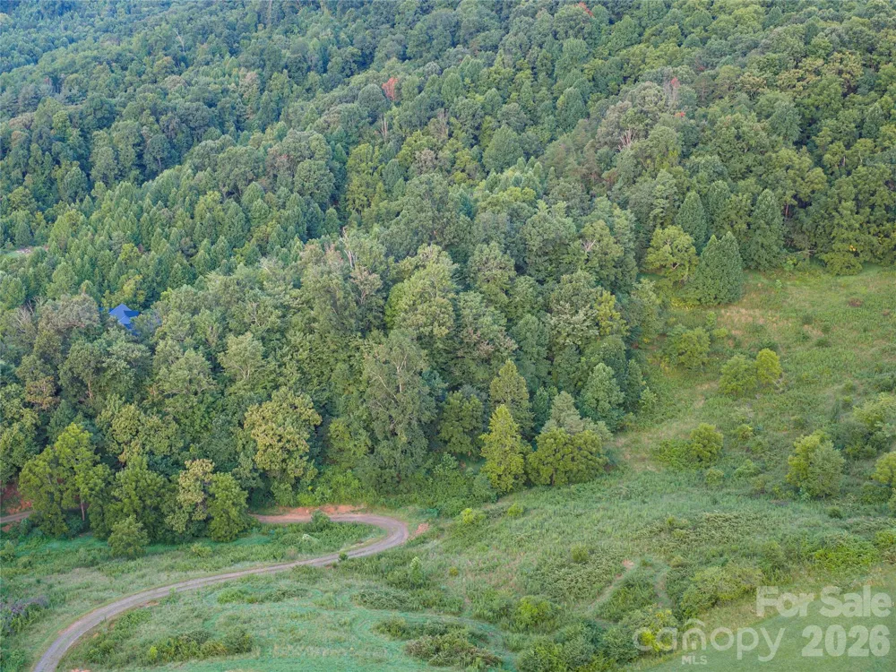 99999 Cleves Drive Candler, NC 28715