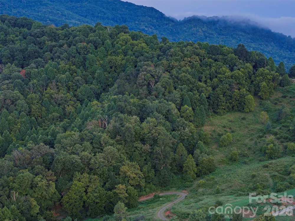 99999 Cleves Drive Candler, NC 28715