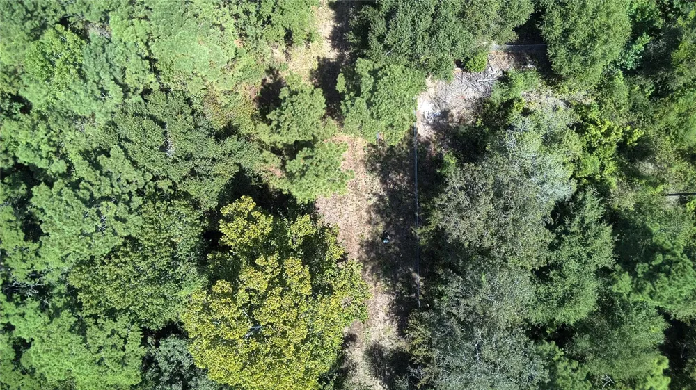 Cove Lake Drive Livingston, TX 77351
