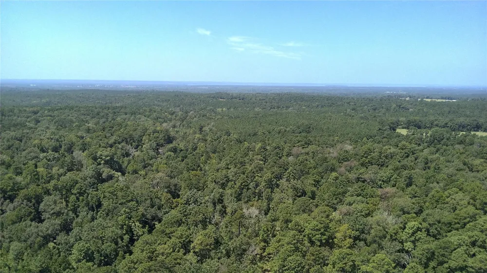 Cove Lake Drive Livingston, TX 77351