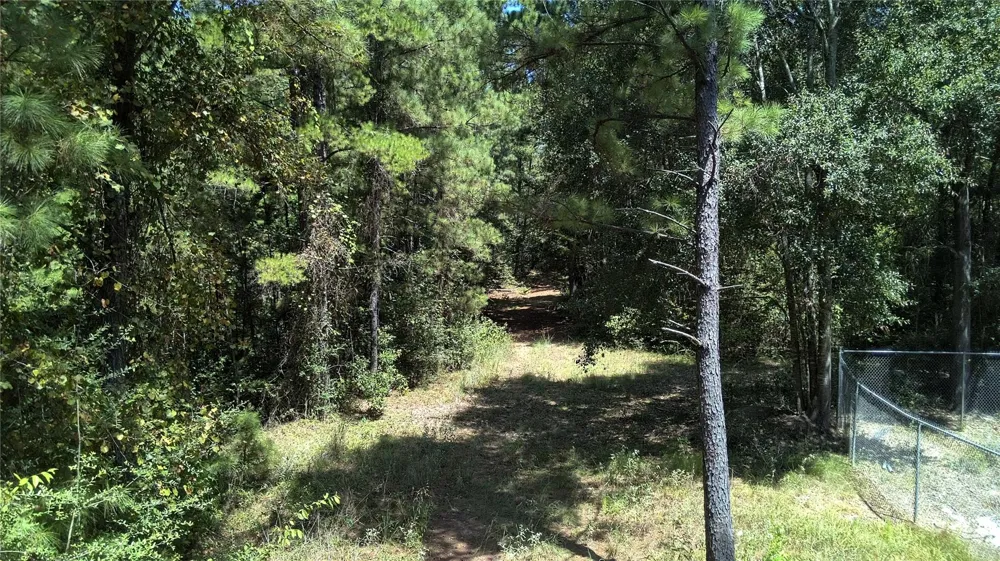 Cove Lake Drive Livingston, TX 77351